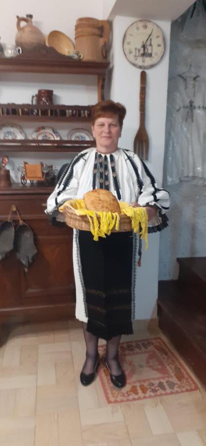 Pensiunea Iulia Rod Εξωτερικό φωτογραφία
